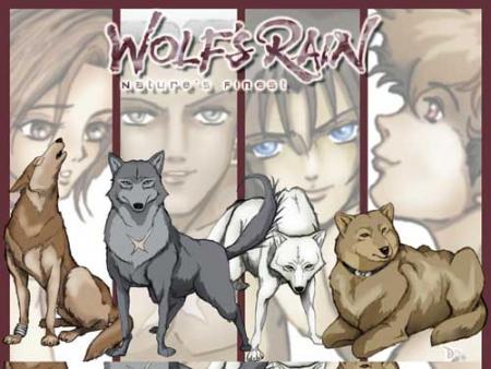 wolfs rain